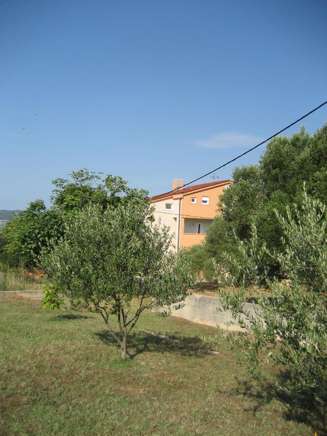 Villa „Drei Palmen“ Sveti Filip i Jakov Eksteriør bilde
