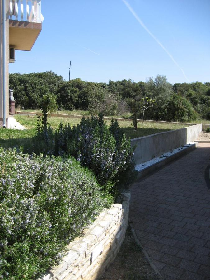 Villa „Drei Palmen“ Sveti Filip i Jakov Eksteriør bilde